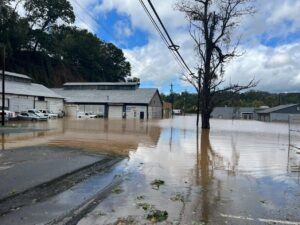 PHOTO Of Severe Flooding On London Road At Sweeten Creek In Asheville North Carolina