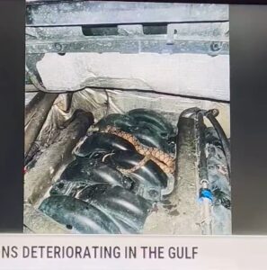 PHOTO Snake Hiding Inside Dude's Truck To Take Refuge From Hurricane Francine In Louisiana