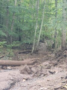 PHOTO 100 Dead Bodies Found Drowned Floating In Floodwaters In Swannanoa North Carolina