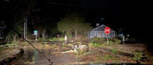 PHOTO Downed Trees Laying All Over The Road In Prairie Grove Arkansas