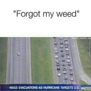 PHOTO One Dude Going Opposite Direction On The Freeway Back Towards Evacuation Zone In Florida Because He Forgot His Weed