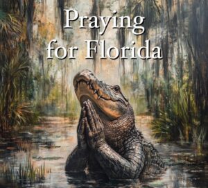 PHOTO Praying For Florida Alligator Praying Wallpaper