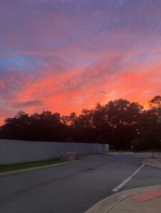 PHOTO The Calm Before The Storm The Last Pink Sky From Sunset In Tampa Before Hurricane Milton Looks Amazing