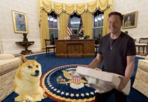 PHOTO Elon Musk Carrying The Kitchen Sink Into The White House Meme