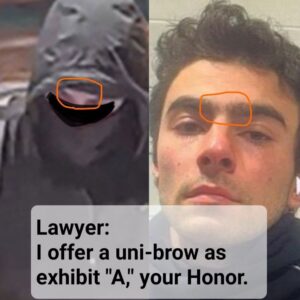 PHOTO Lawyer In Luigi Mangione Case Lawyer I Offer A Uni-Brow As Exhibit A