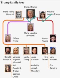 PHOTO Full Trump Family Tree Including All His Kids Kids