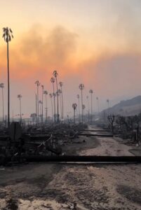 PHOTO Neighborhoods In Pacific Palisades California Look Like Si-Fi Movie