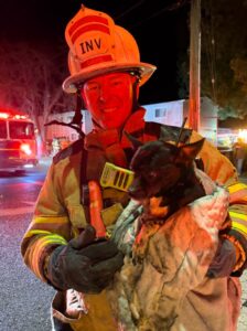 PHOTO Of Exhausted Dog That Was Rescued From The Clay Fire In Jurupa Valley California