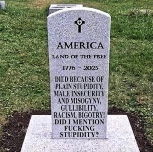 PHOTO America Land Of The Free Died Because Of Pure Stupidity Meme