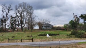 PHOTO Tornado Damage Off Highway 61 In Newbern Alabama