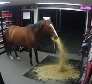 PHOTO Tracy Morgan Watching The Knicks Play Horse Puking Meme