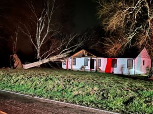 PHOTO Lynchburg Ohio House Survived Tornado But Got Smashed By A Tree