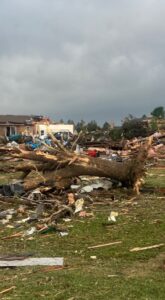 PHOTO Insane Picture Of Tree Uprooted Debarked And Stripped Of Its Roots And Branches In Grinnell Kansas From Tornado