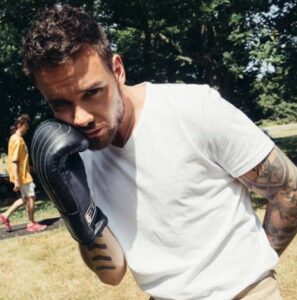PHOTO Liam Payne Wearing Boxing Gloves At A Park