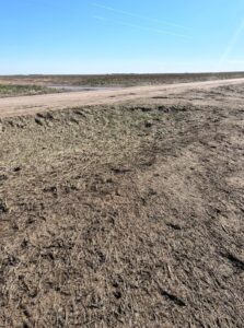 PHOTO Very Incredible Vegetation Damage To Grass And Corn In Grinnell Kansas From Tornado