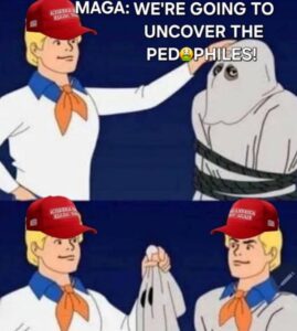 PHOTO MAGA We're Going To Undercover The Pedos But Trump Is In The Epstein Files Meme