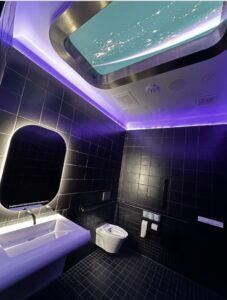 PHOTO Tesla Diner Bathroom Ceiling Makes It Look Like You're In A Dragon Capsule