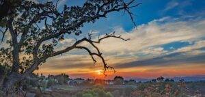 PHOTO Amazing Sunset In Valencia California From Canyon Fire Smoke