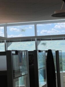 PHOTO CDC Headquarters Building 21 Was Hit By Gunfire During Emory University Shooter Shootout With Police At CVS