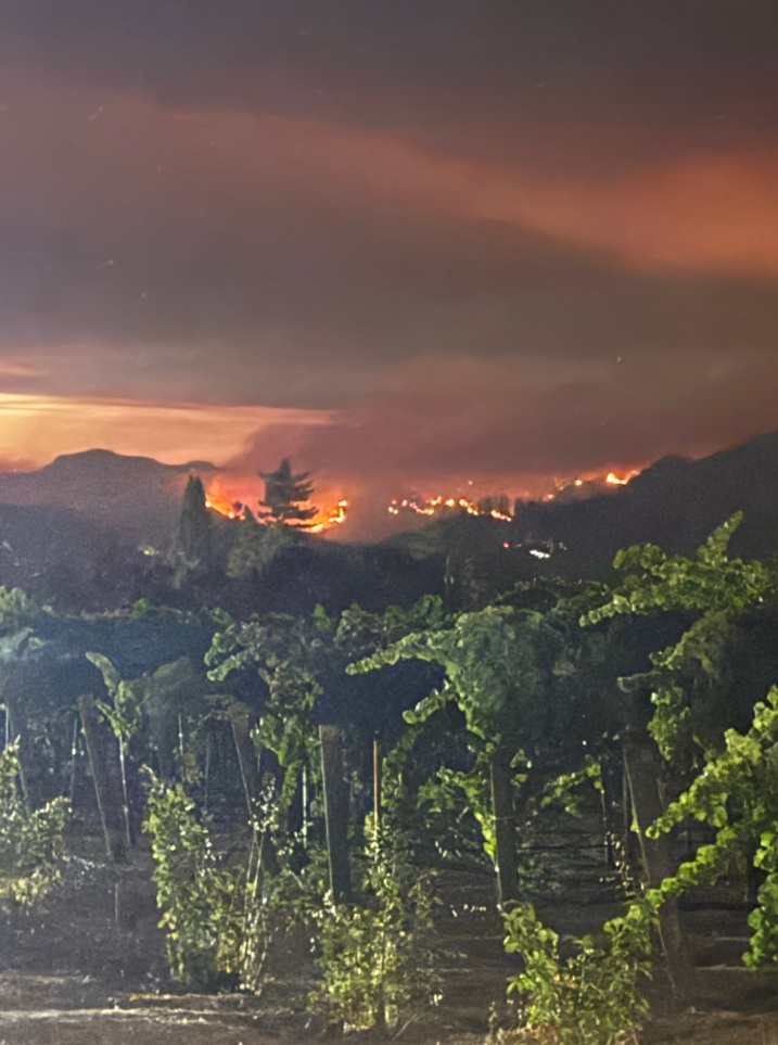 PHOTO Calistoga Fire Is Raging In California Mountains