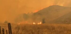 PHOTO Canyon Fire On The Ground Proliferating And Spotting Like Crazy With 0% Containment