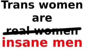 PHOTO Trans Women Are Insane Men Robin Westman Meme