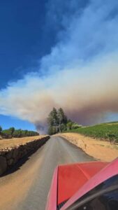 PHOTO Where Pickett Fire Started In On Pickett Road In Calistoga California