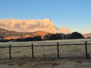 PHOTO Garnet Fire Has Reached McKinley Grove In The Sierra National Forest