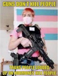 PHOTO Guns Don't Kill People Trans People Loaded Up On Hormones Kill People Skye Valadez Meme