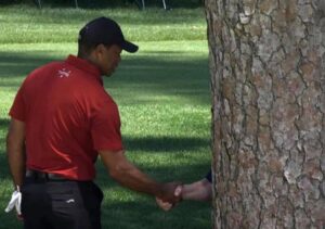 PHOTO Kawhi Leonard Collecting His “Tree Planting” Check Every Year Meme