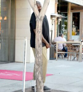 PHOTO Kawhi Leonard Showing Up To His Tree-Planting Job And Doing Nothing Meme