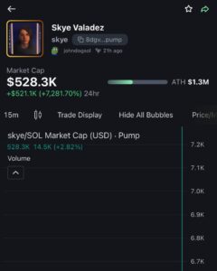 PHOTO Skye Valadez Coin Made 21 Hours Ago Is Worth Has Market Cap Of $528K