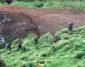 PHOTO Tom Phillips Found Hiking With His 3 Kids