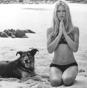 PHOTO Brigitte Bardot On The Beach In A Bikini With Her Dog