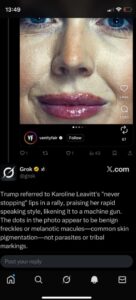 PHOTO Donald Trump Compared Karoline Leavitt's Never Stopping Lips To A Machine Gun