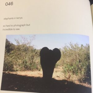 PHOTO Brooklyn Beckham's Parents Financed His Photography Facet