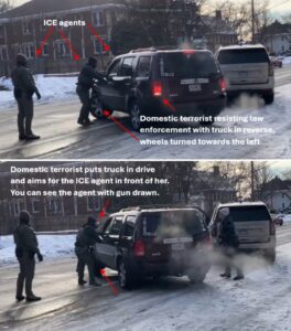 PHOTO Proof Renee Nicole Good Chose Poorly