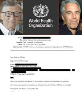 PHOTO Email Bill Gates Sent To Jeffrey Epstein On Including The WHO And CDC In The Pandemic