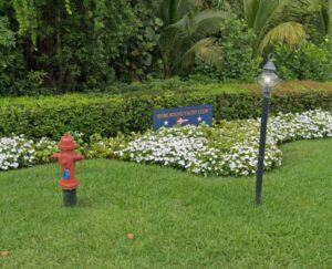 PHOTO Tiger Woods Crashed His Car Right Next To The Entrance To The Hobe Sound Yacht Club