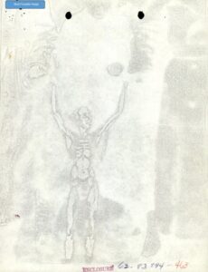 PHOTO Strange Alien Image In UFO Files